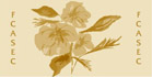 FCASEC Logo