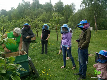 Institutions cooperate to involve young people